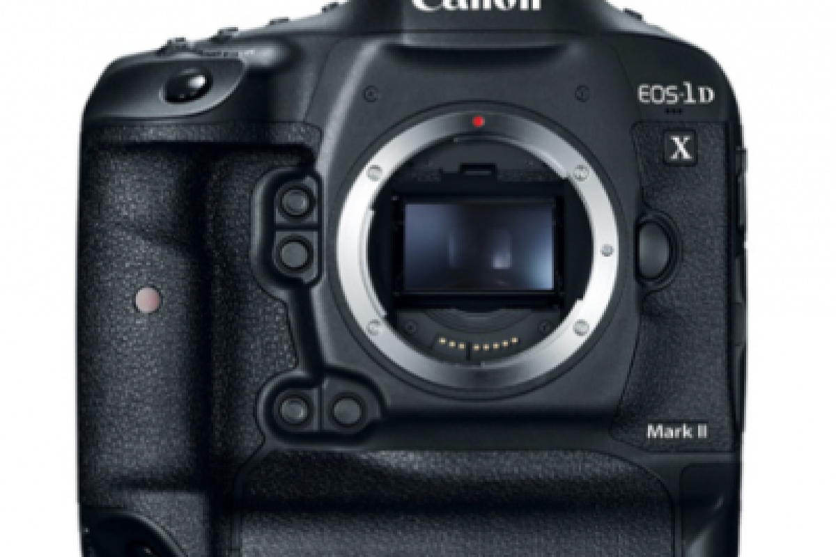Location Canon EOS 1 dx mark II - Lightyshare